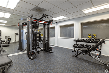 Free weights